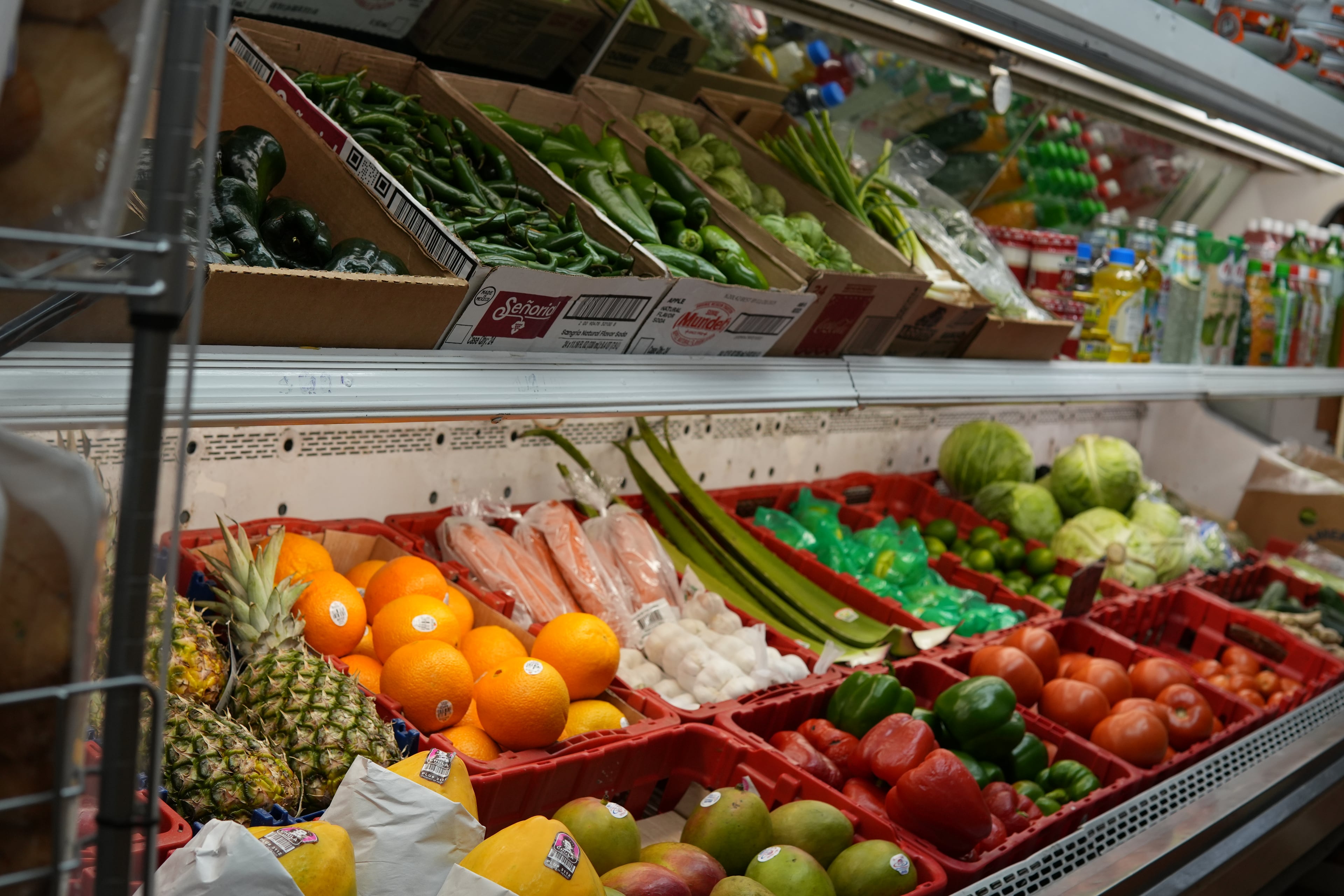 Productos de despensa y alimentación básica